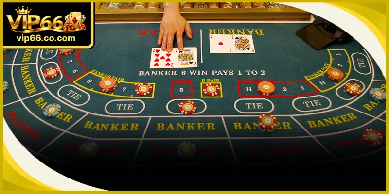 Trình tự thực hiện chốt đơn cược đơn giản hỗ trợ người chơi Baccarat VIP66