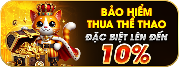 Icon bảo hiểm thể thao VIP66