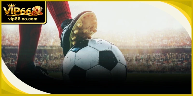 Kỹ năng thu thập dữ liệu về cầu thủ hỗ trợ đưa ra quyết định đặt kèo Penalty