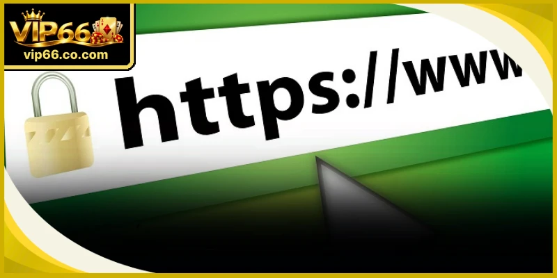 Link vào VIP66 chính thức hỗ trợ cược thủ kết nối trang chủ an toàn mỗi ngày